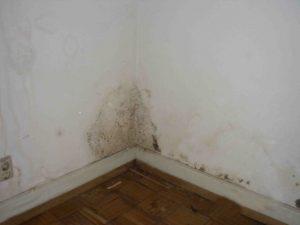 Потемнения на стенах после утепления - угол комнаты